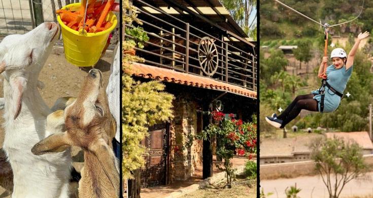 Experience La Media Luna Rosarito: Authentic Countryside Flavors