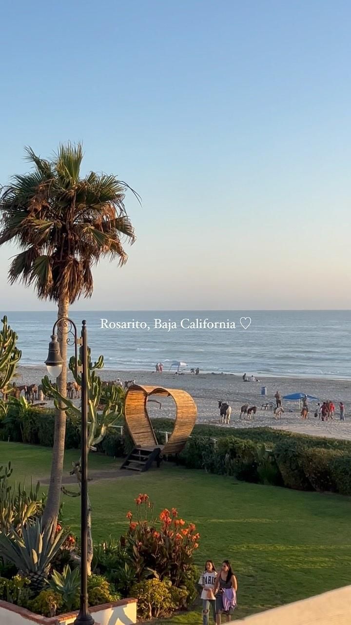 Rosarito's La Media Luna: Premium Grass-Fed Ataúd Meats